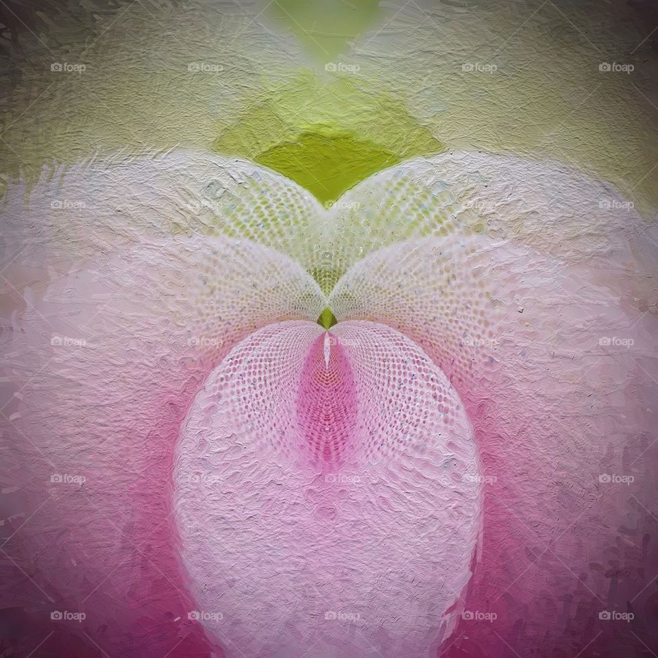 Abstract photography 