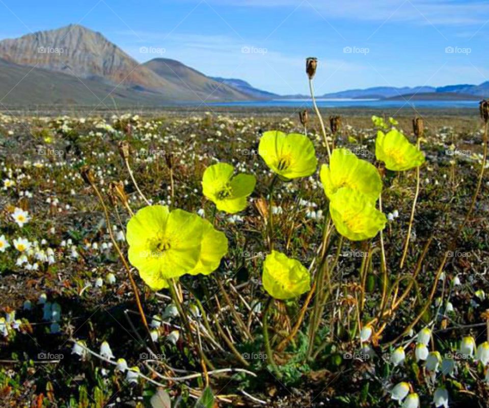 Красота природы Севера