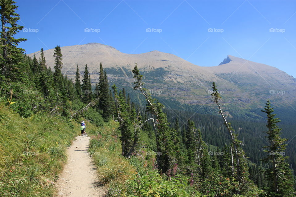 High Line Trail, Glacier National Park, Montana