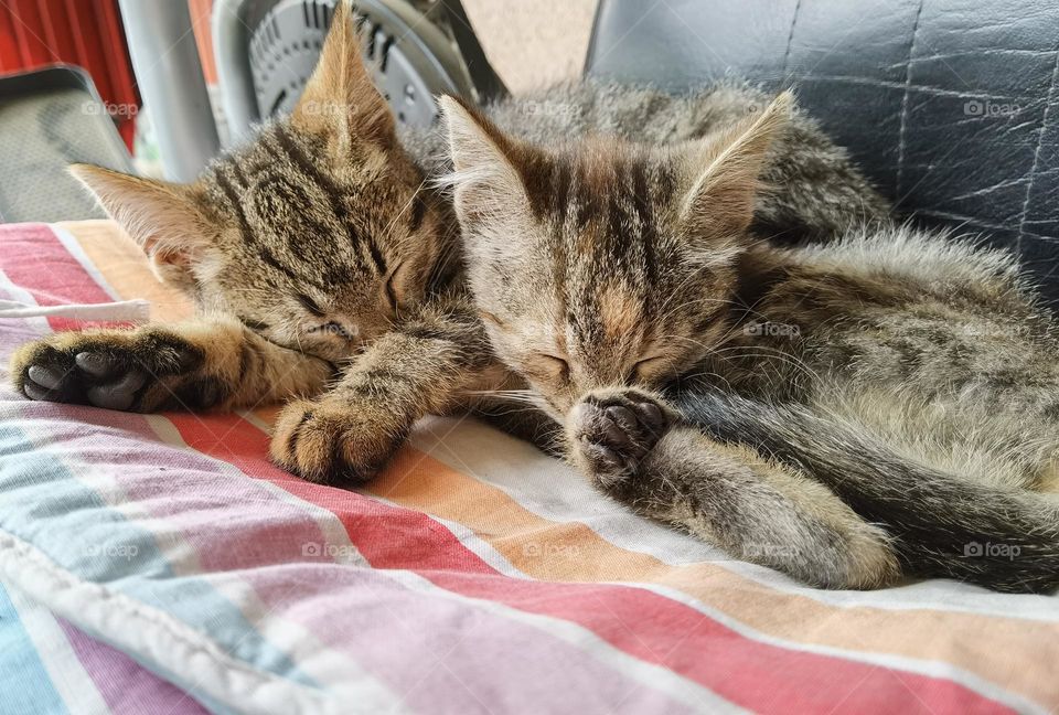 Can't wake up,  still sleeping with my brother