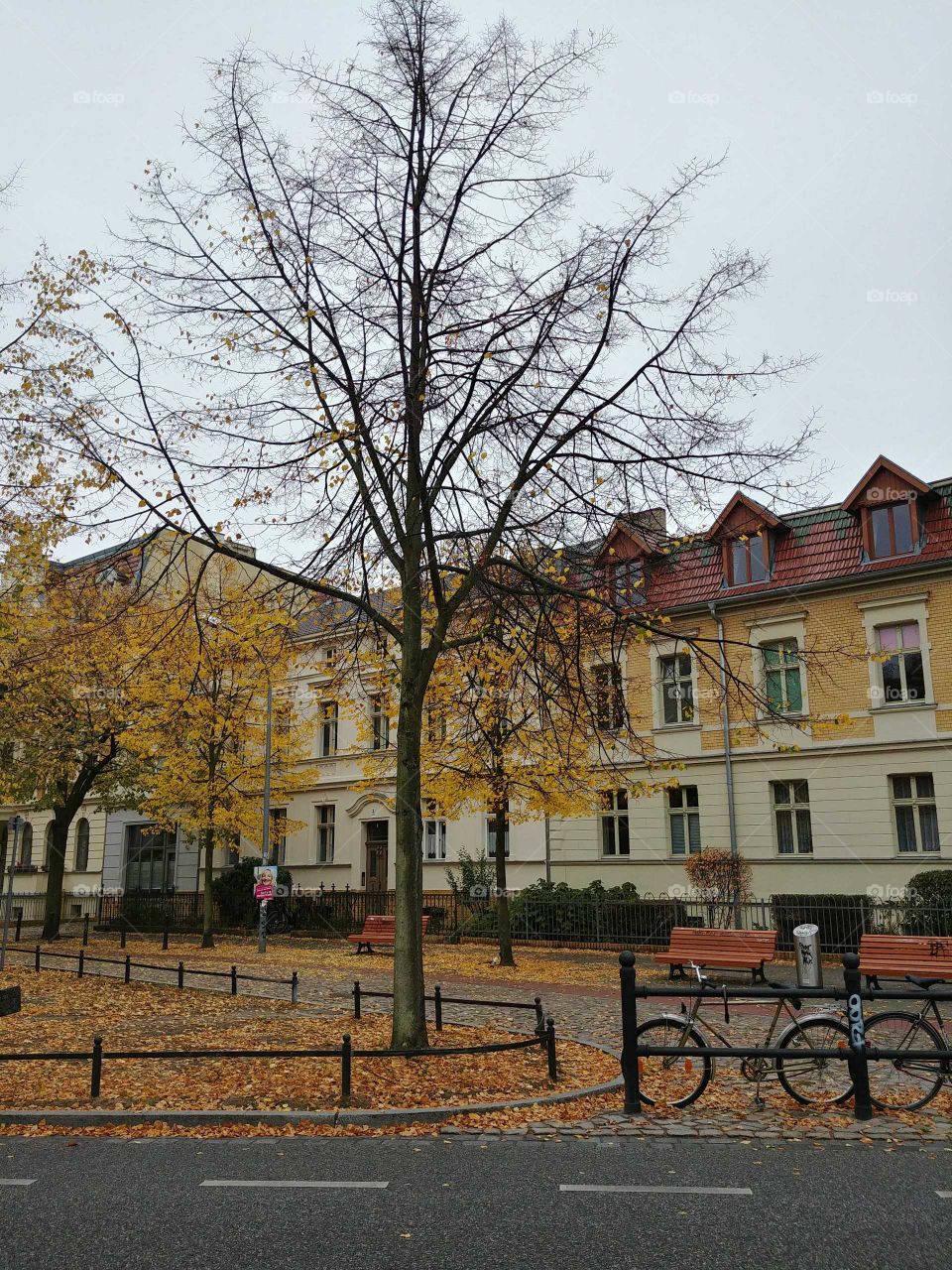 Herbst in Potsdam