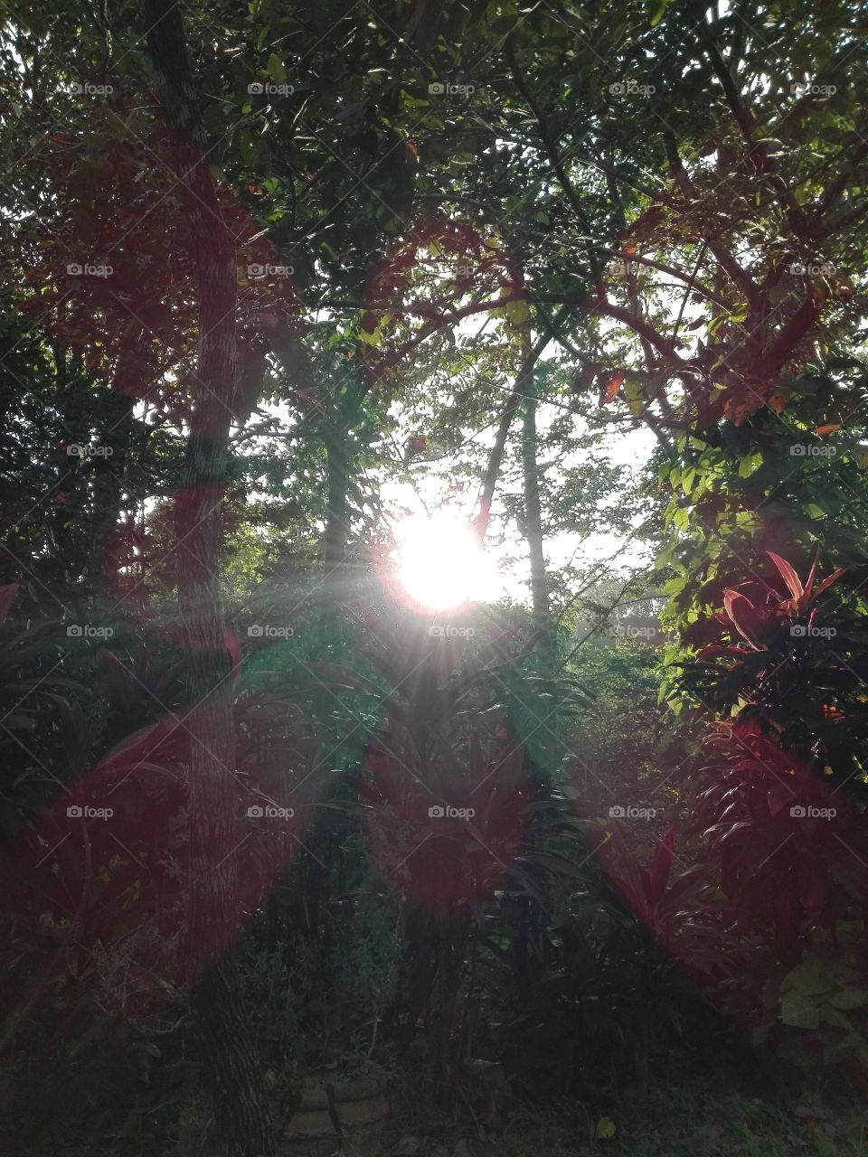 Reflection of the  nature.