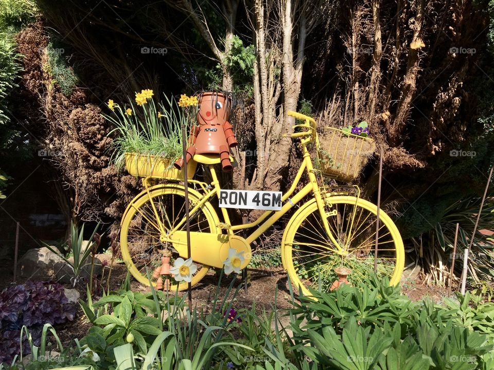 Colourful yellow bike planted with Spring Flowers spotted in a nearby garden 🪴