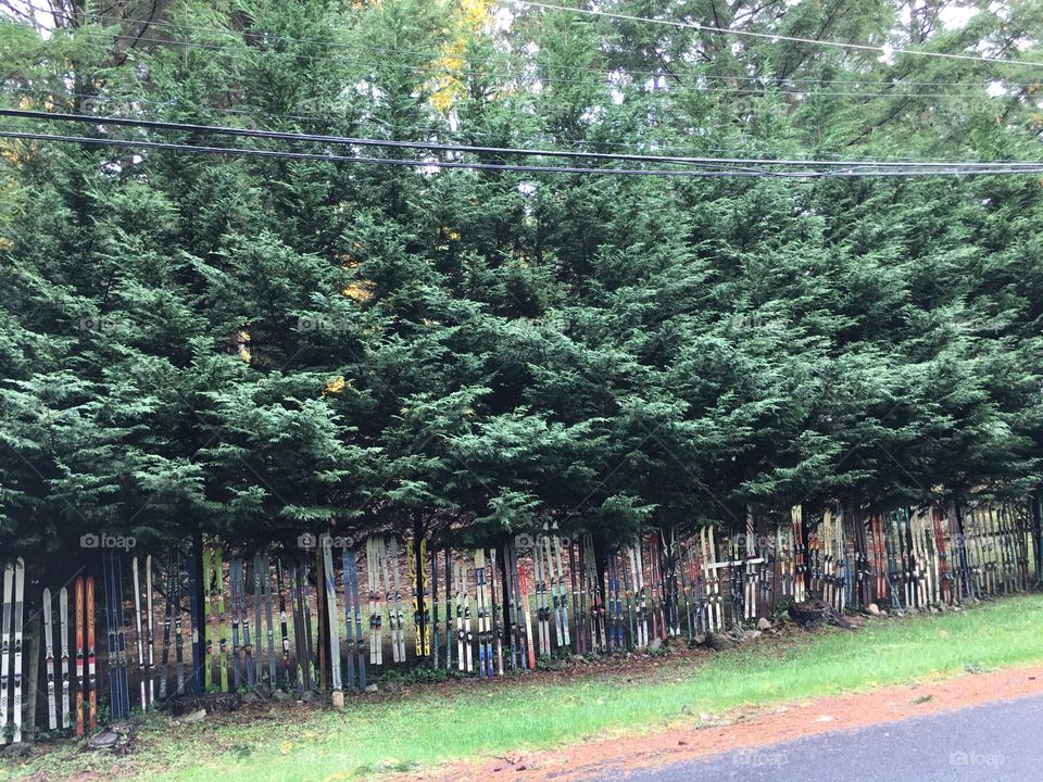 A fence of old skies 