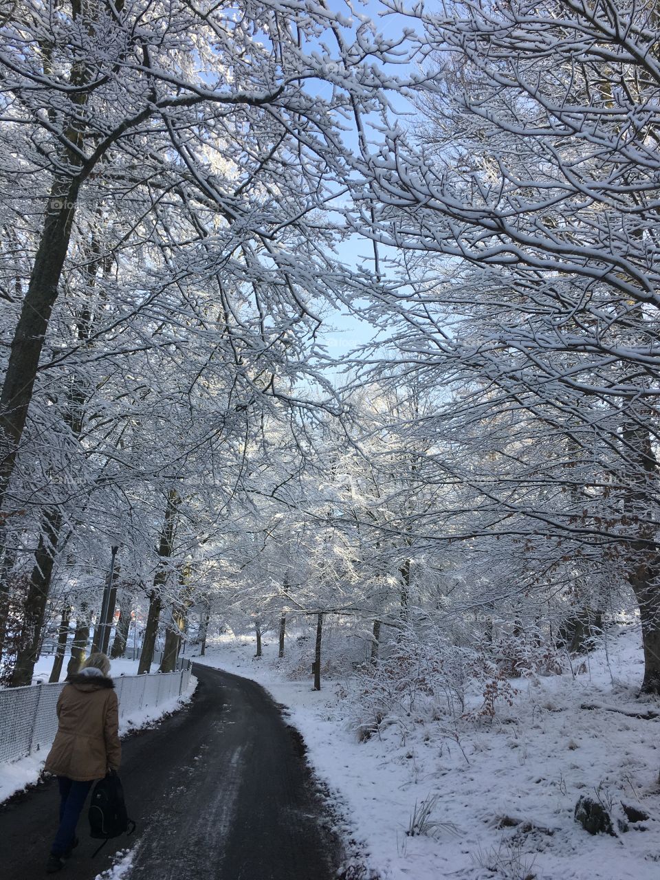 Winter
 Tree 
Way
Cool
Darling 