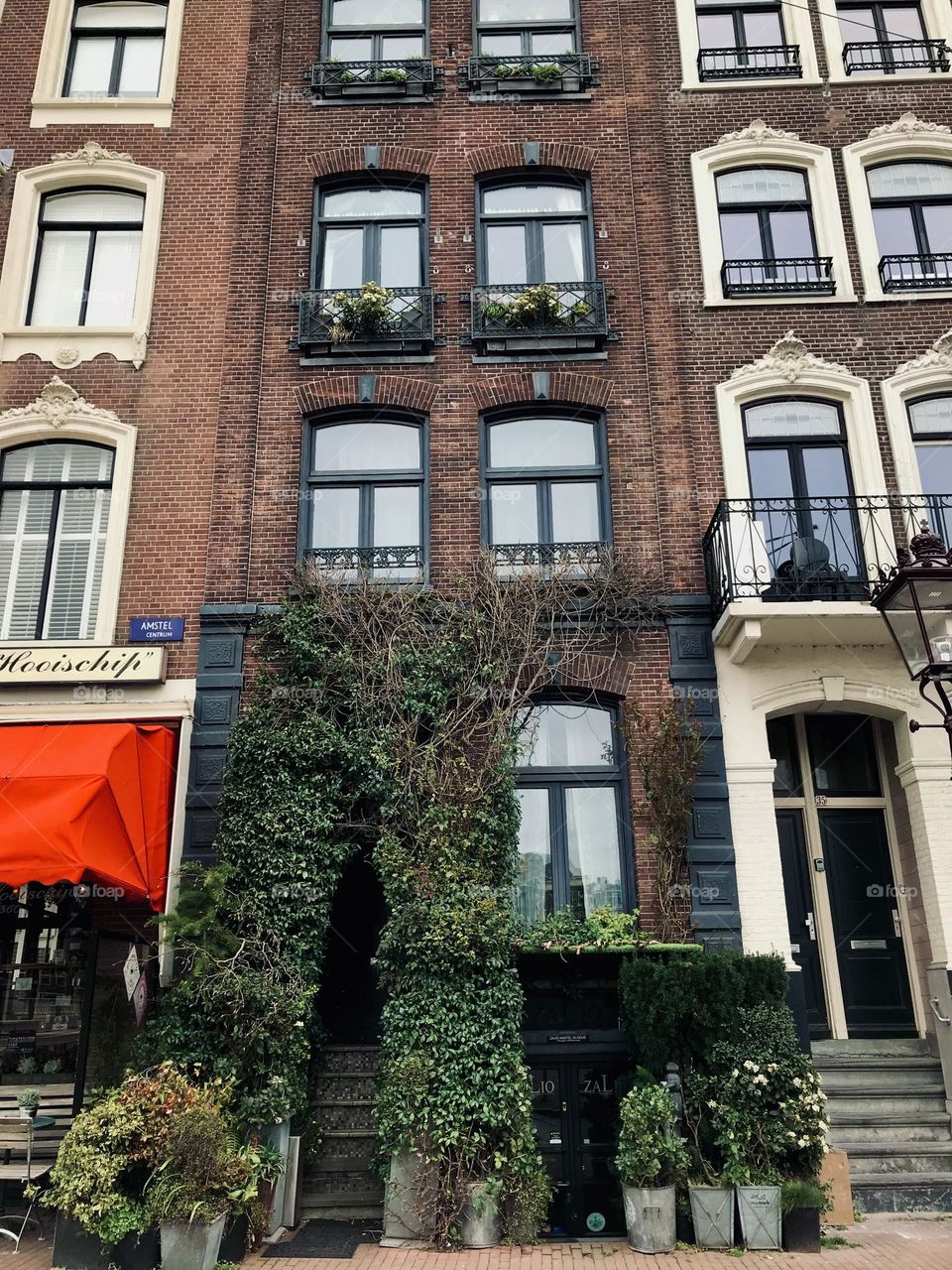 Urban nature on the wall