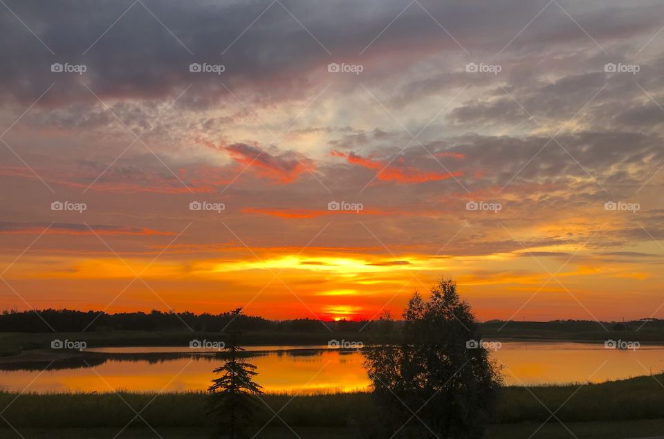 Prince Albert, SK, CA.  Summer sunrise on a prairie pond