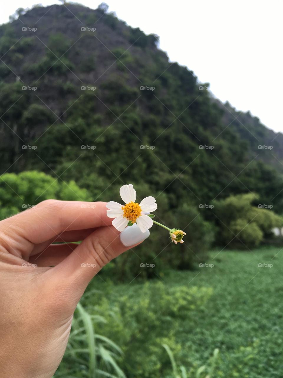 Woman holding a flower 