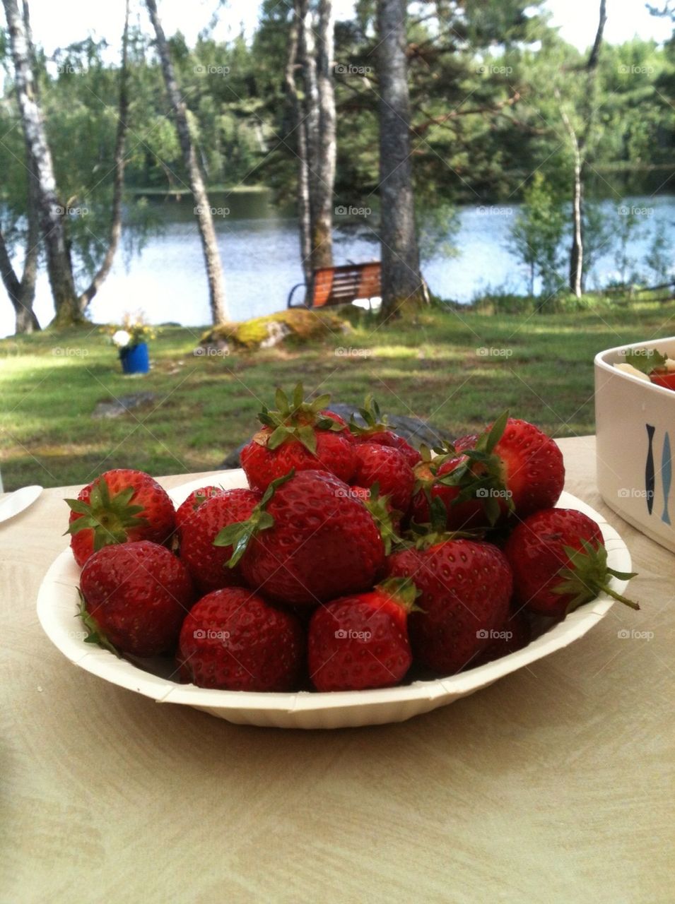 summer lake view strawberries by lenacarlsson