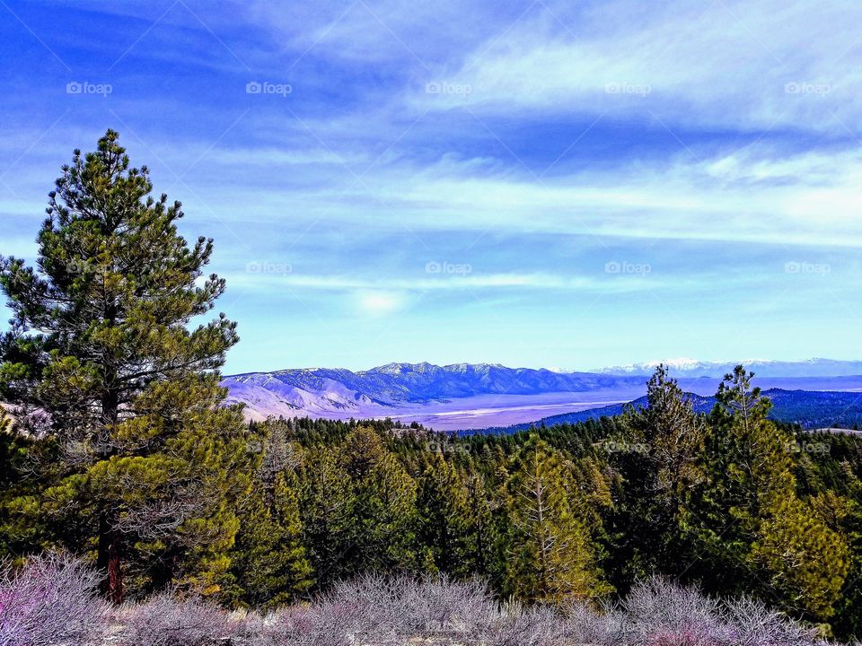 MAMMOTH LAKES|california