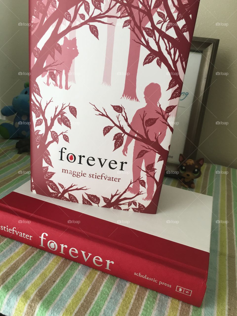 Forever is the last book in the Shiver Trilogy. I love the red cover of it. 