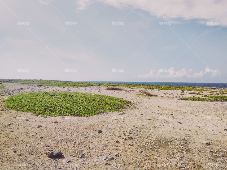 amazing view of the horizon, land, sea and sky