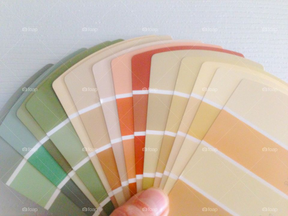 Paint color swatches