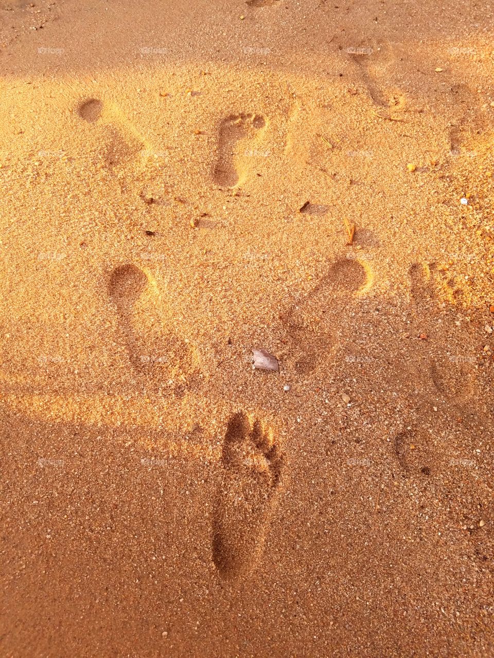 footprints in the sand