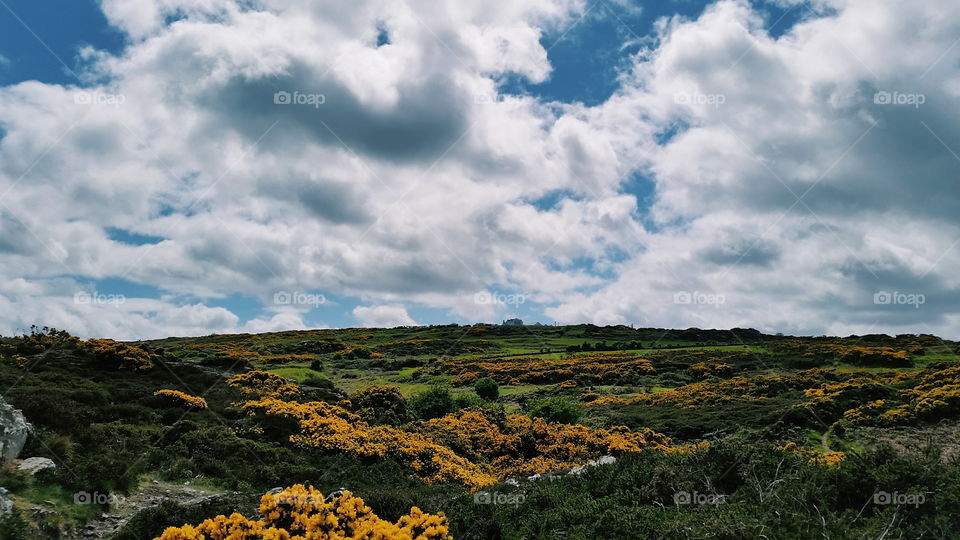 beautiful view in Howth, Dublin