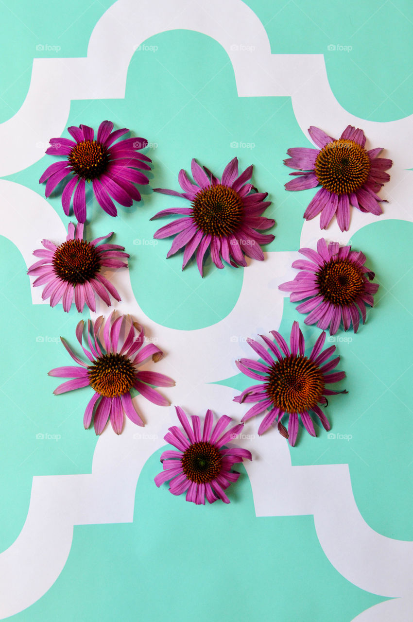 Purple wildflowers laid out in the shape of a heart on a teal backdrop