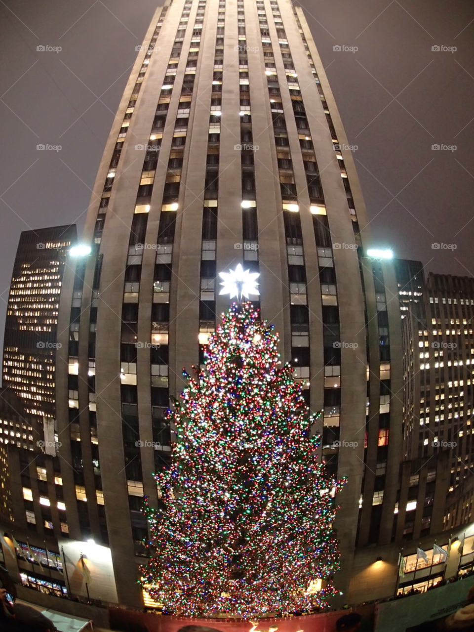 tree nyc christmas fish eye by delvec