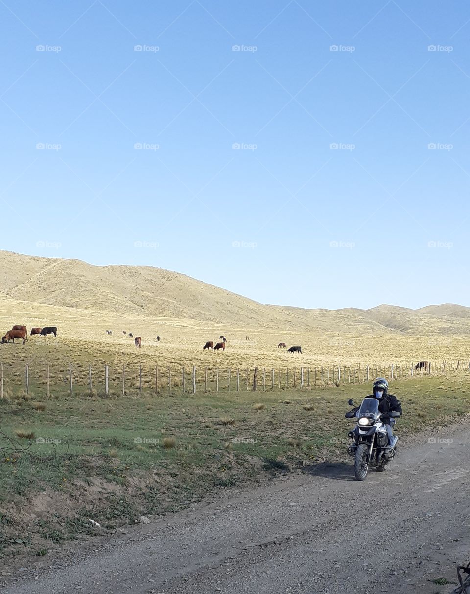 motorcyclist and fields