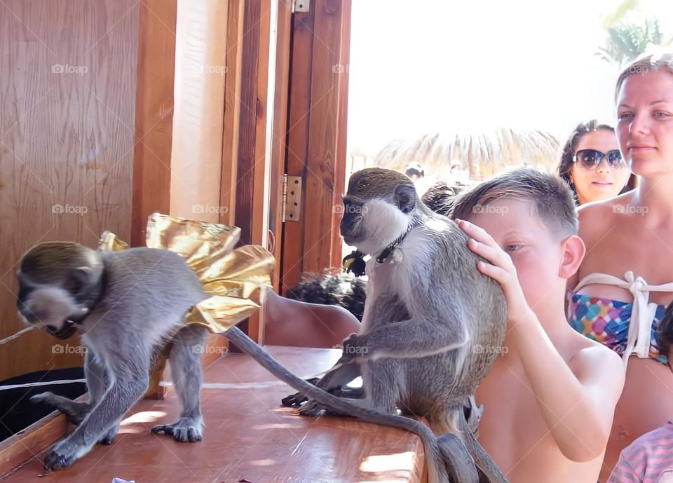 Little Monkeys 🐒 🙈