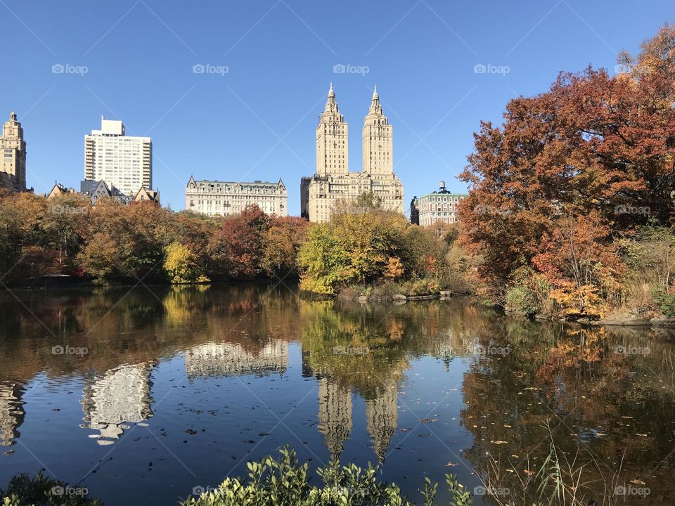 Buildings and autumn trees reflection in water