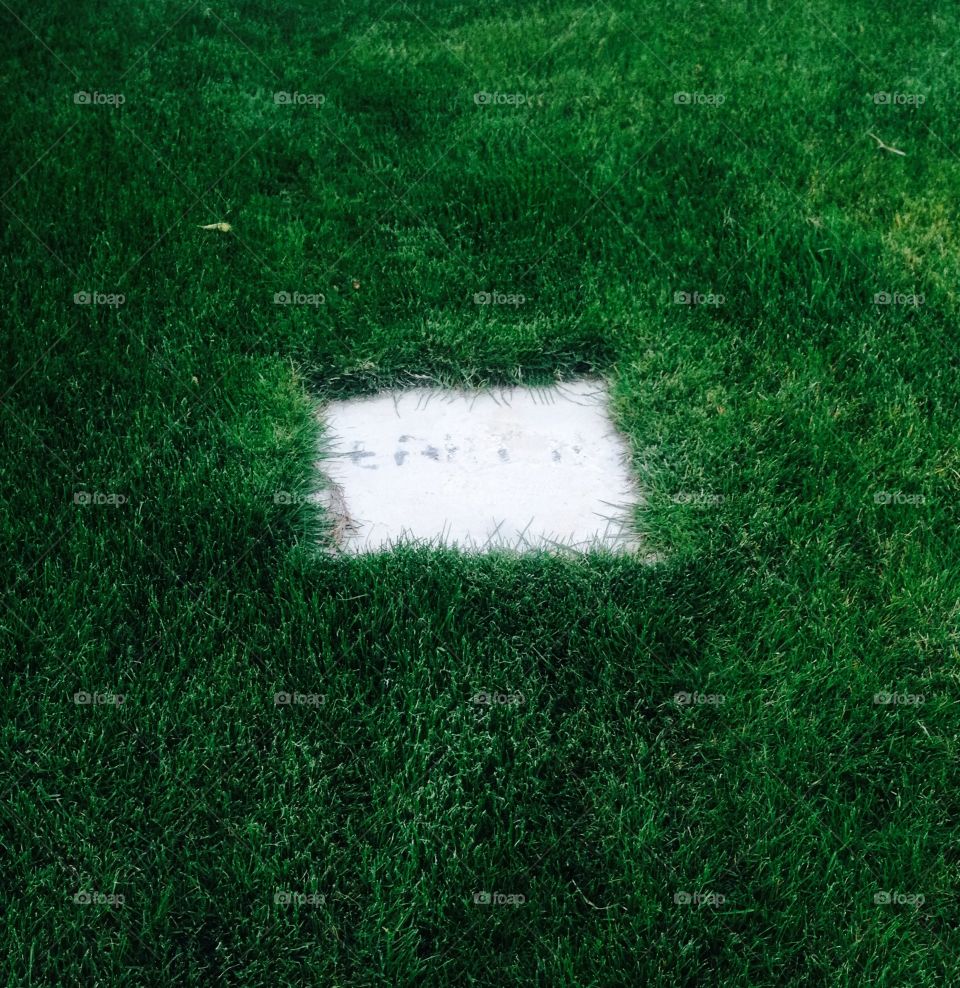 Grass and stone in middle
Location: Amman city 
Time: 12/3/2016