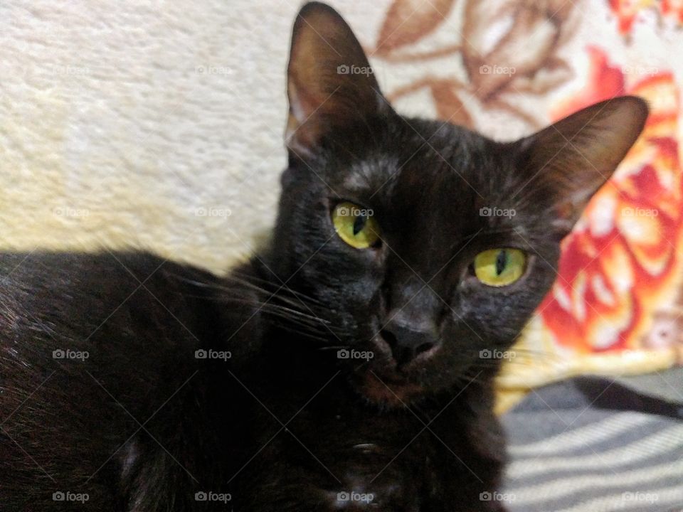 Seu olhar me encanta.