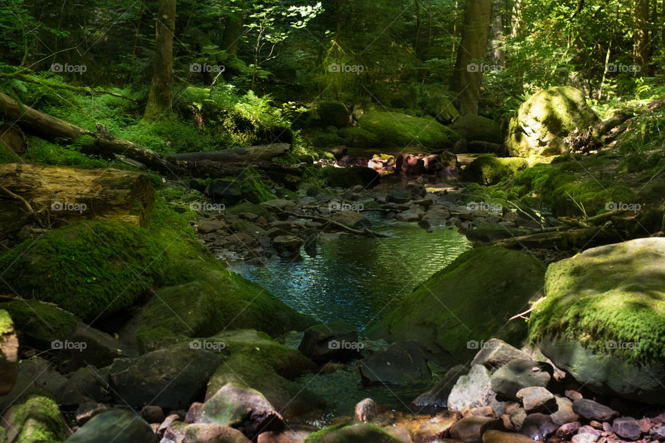 beautiful location for taking all kinds of photos. Black Forest. Near Bad Liebenzell