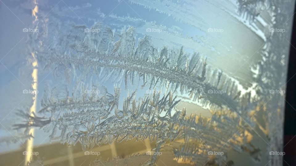 frost on the window