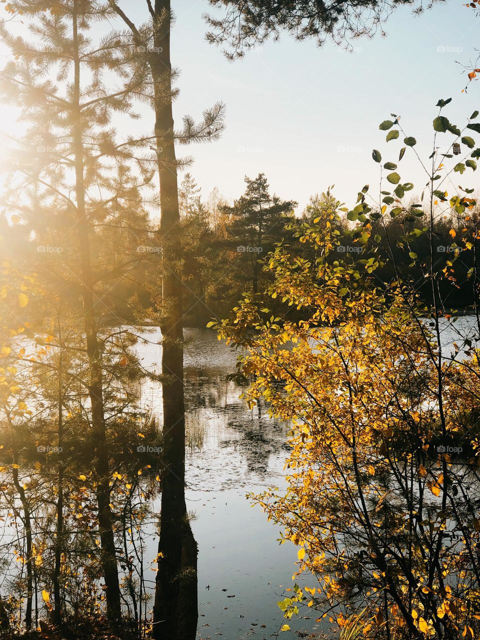 Beautiful sunny autumn day 