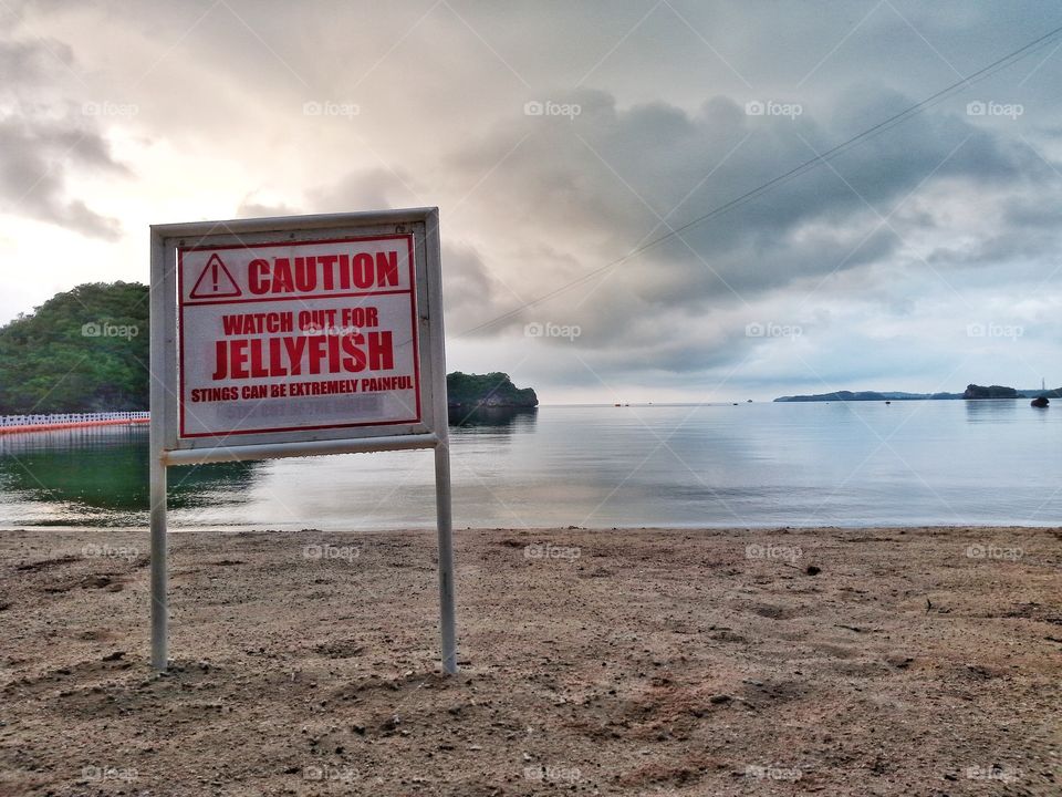 Caution on jellyfish