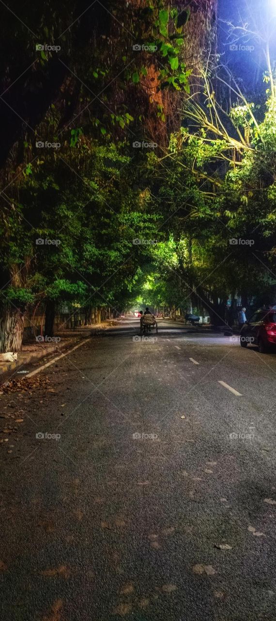 Nature's beautiful corridor ❤️