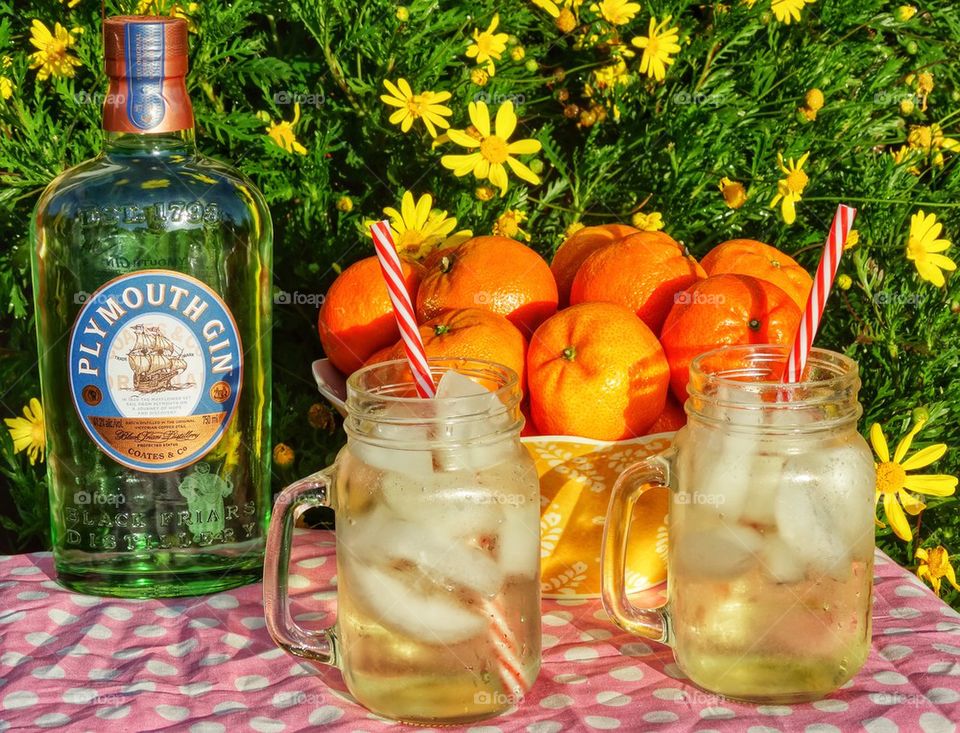 Gin And Citrus