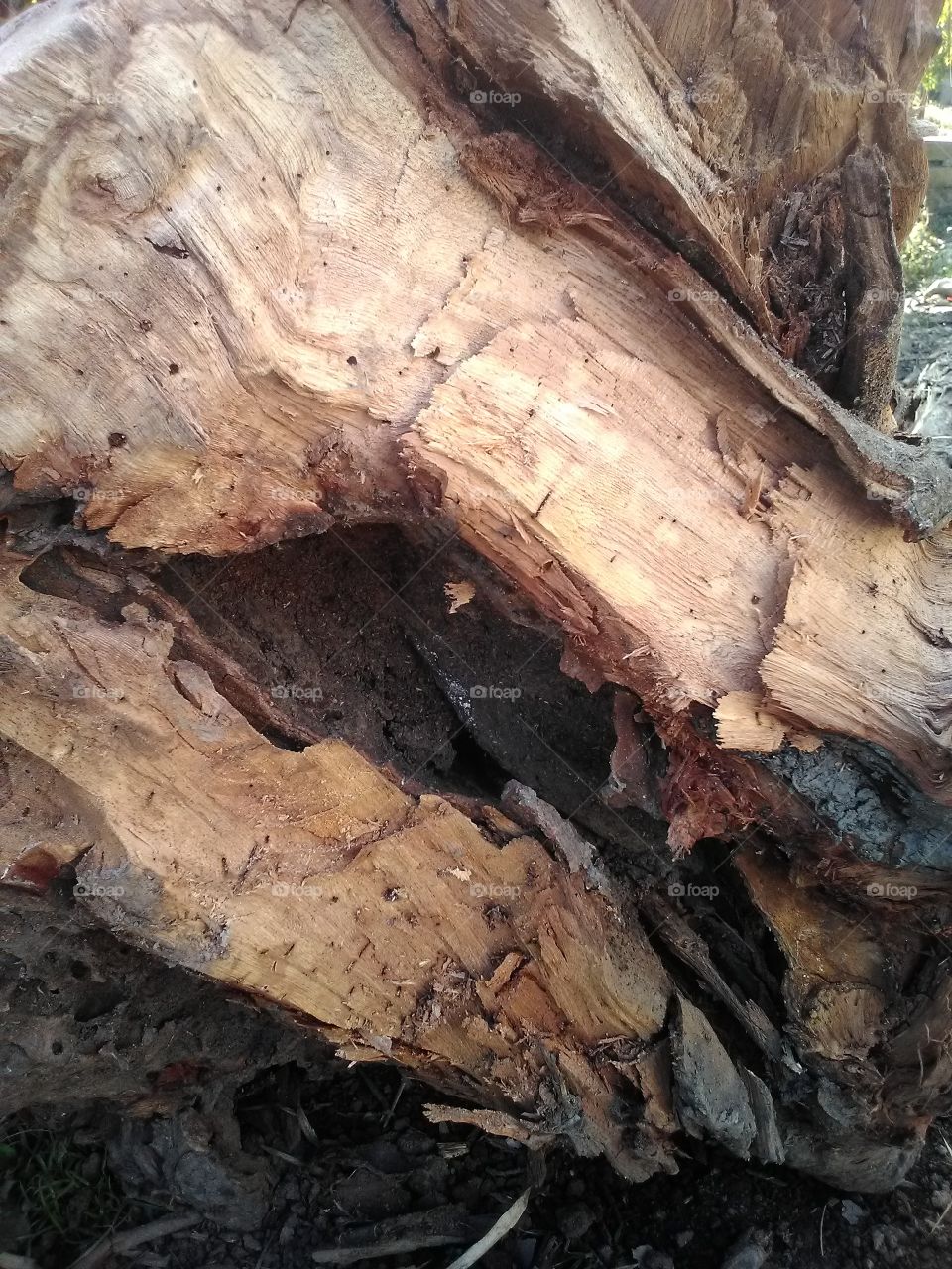 wood left unchopped