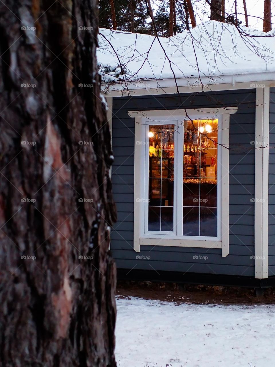 Battle: Winter vs. Spring