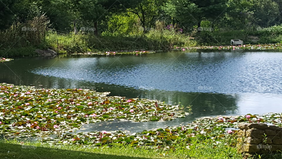 Water, River, Nature, Landscape, Lake