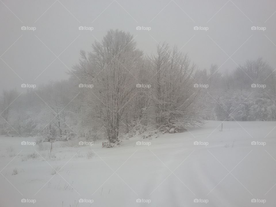 snow time, winter sports, snowy mountain, cold weather, winter landscape