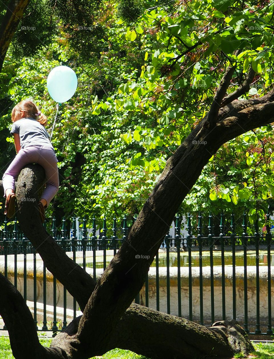 Climbing the tree