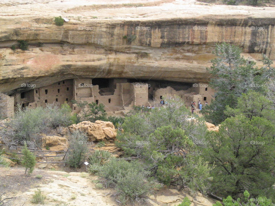 Mesa Verde