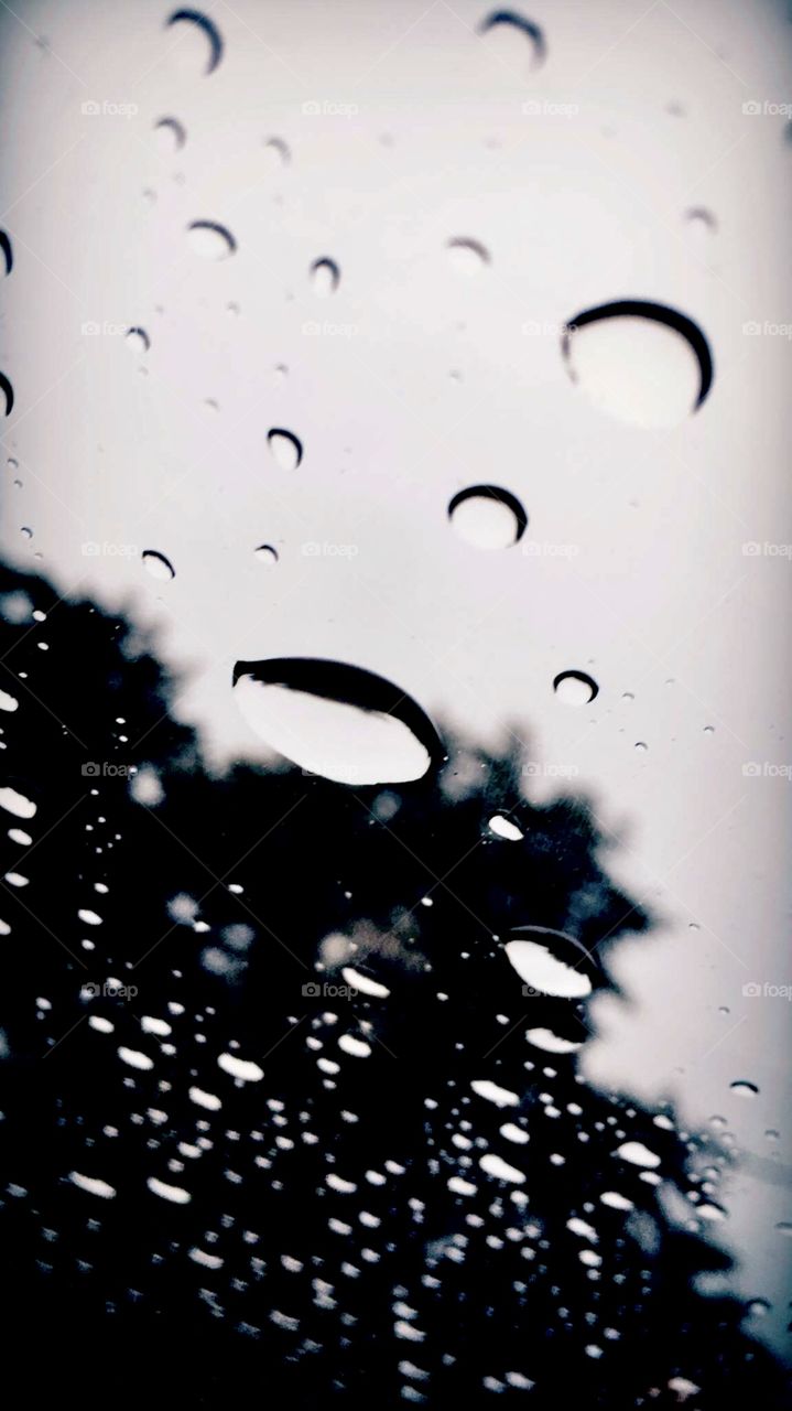 Rain through the glass roof 😉