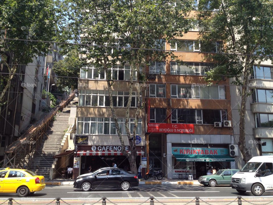 car tree building turkey by linhof