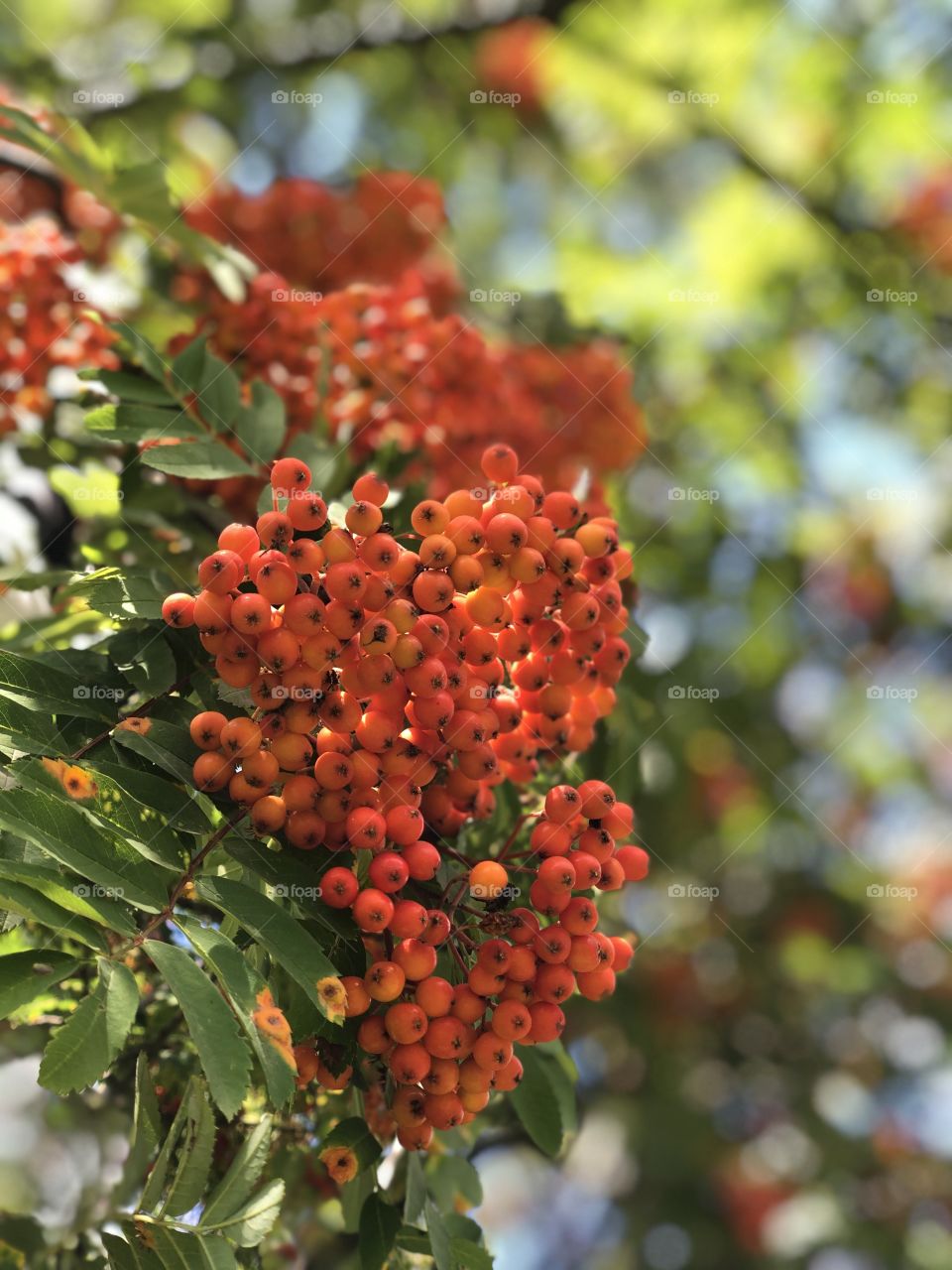 Minimalistic - least possible