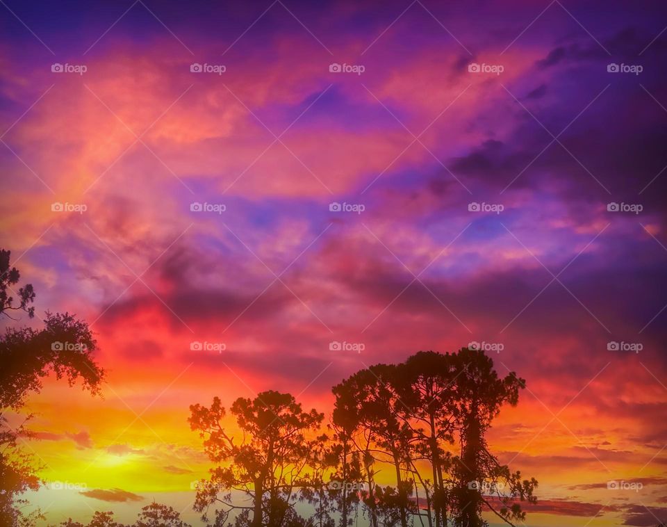 Intense purple and orange sunset.