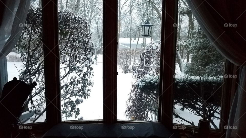 snowy window