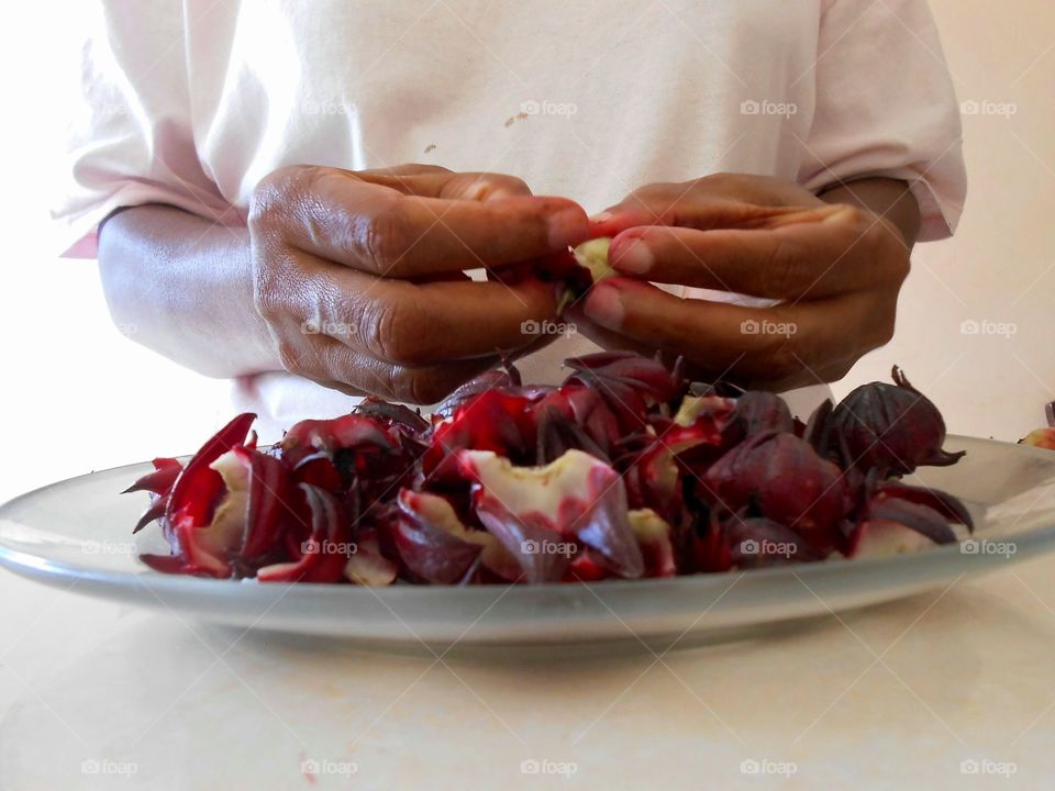 Preparing Sorrel