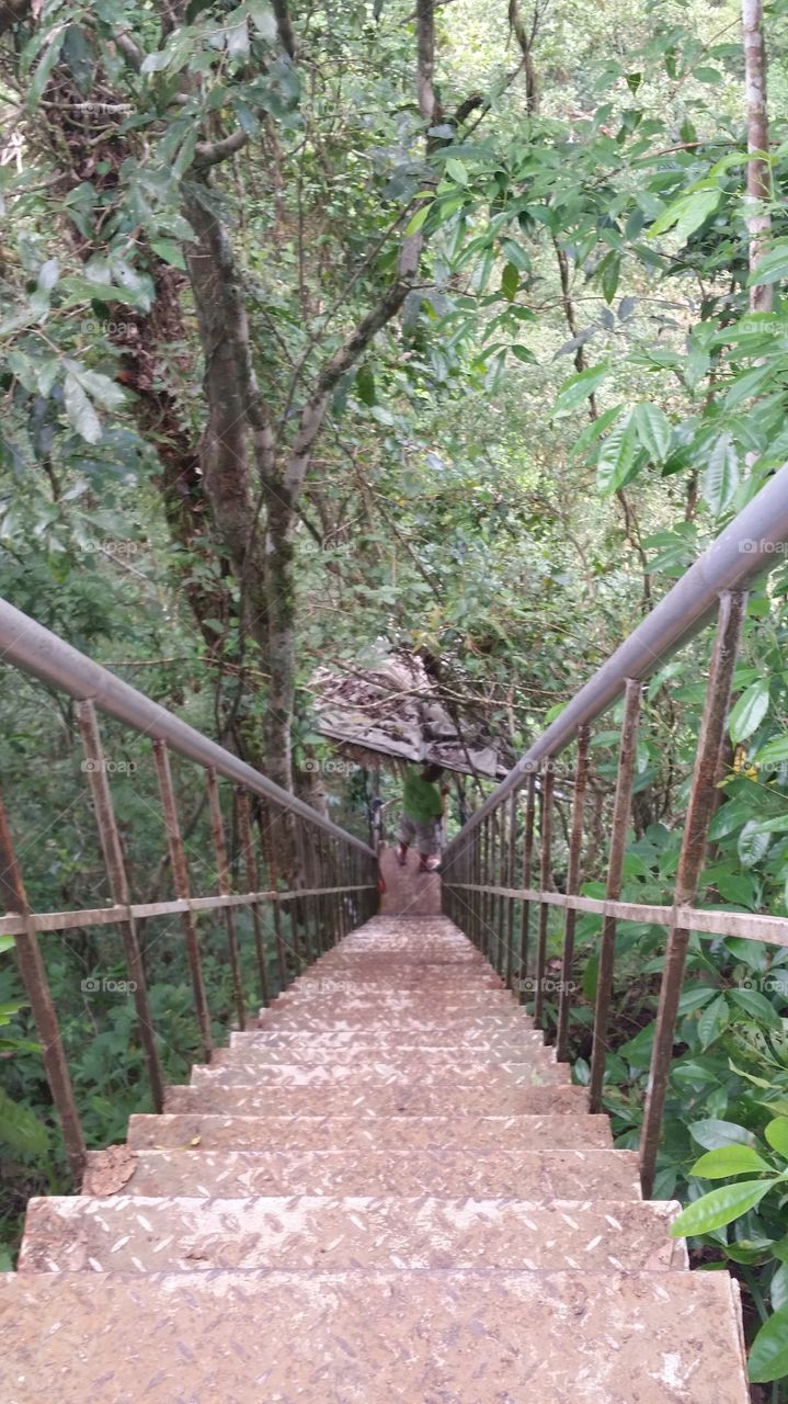 Stairway leading down to a rapel into a river valley in the Phillipine Islands