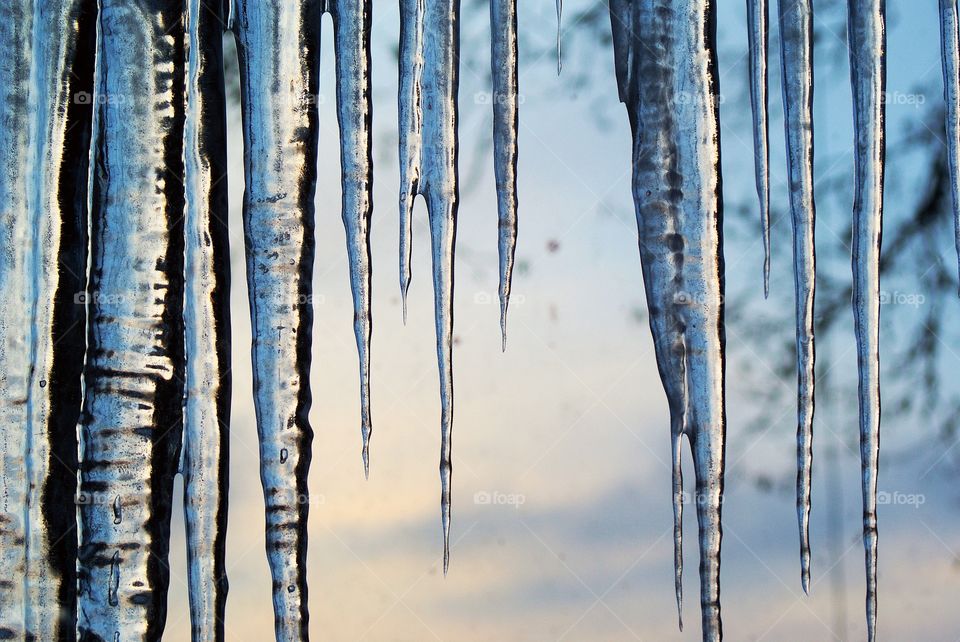 Nature, Frost, Icicle, Winter, Desktop