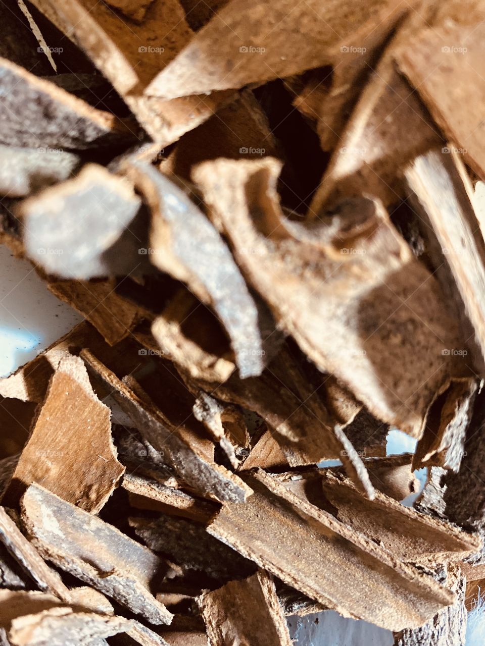 Amazing photo for the beautiful cinnamon 