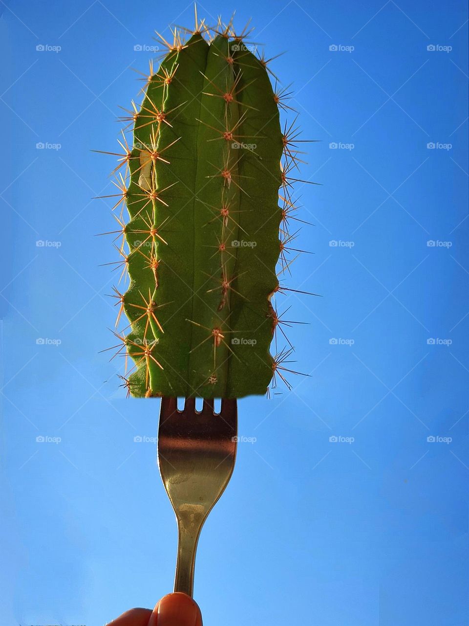 The hand holds a metal fork on which is a green prickly cactus. Blue sky nature background. Tricks with photoshop