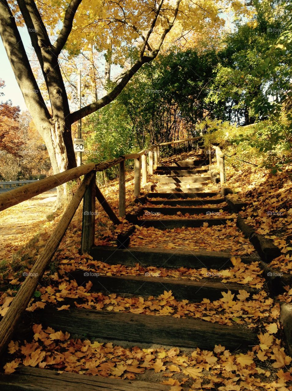 Beautiful autumn view on the wooden stairs. 