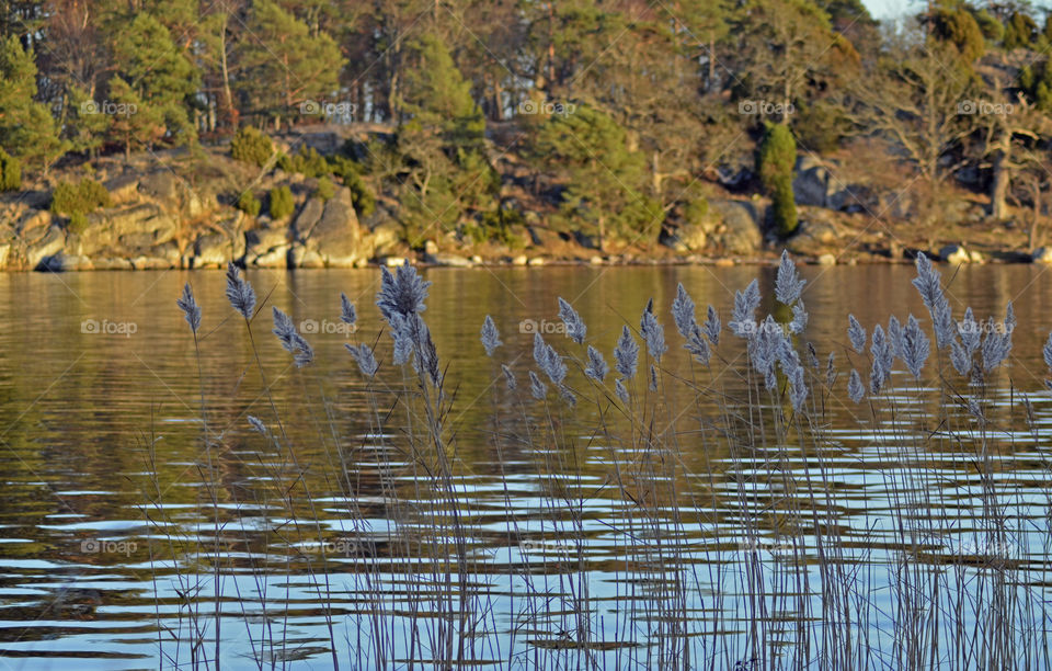 Slädö, Ronneby archipelago